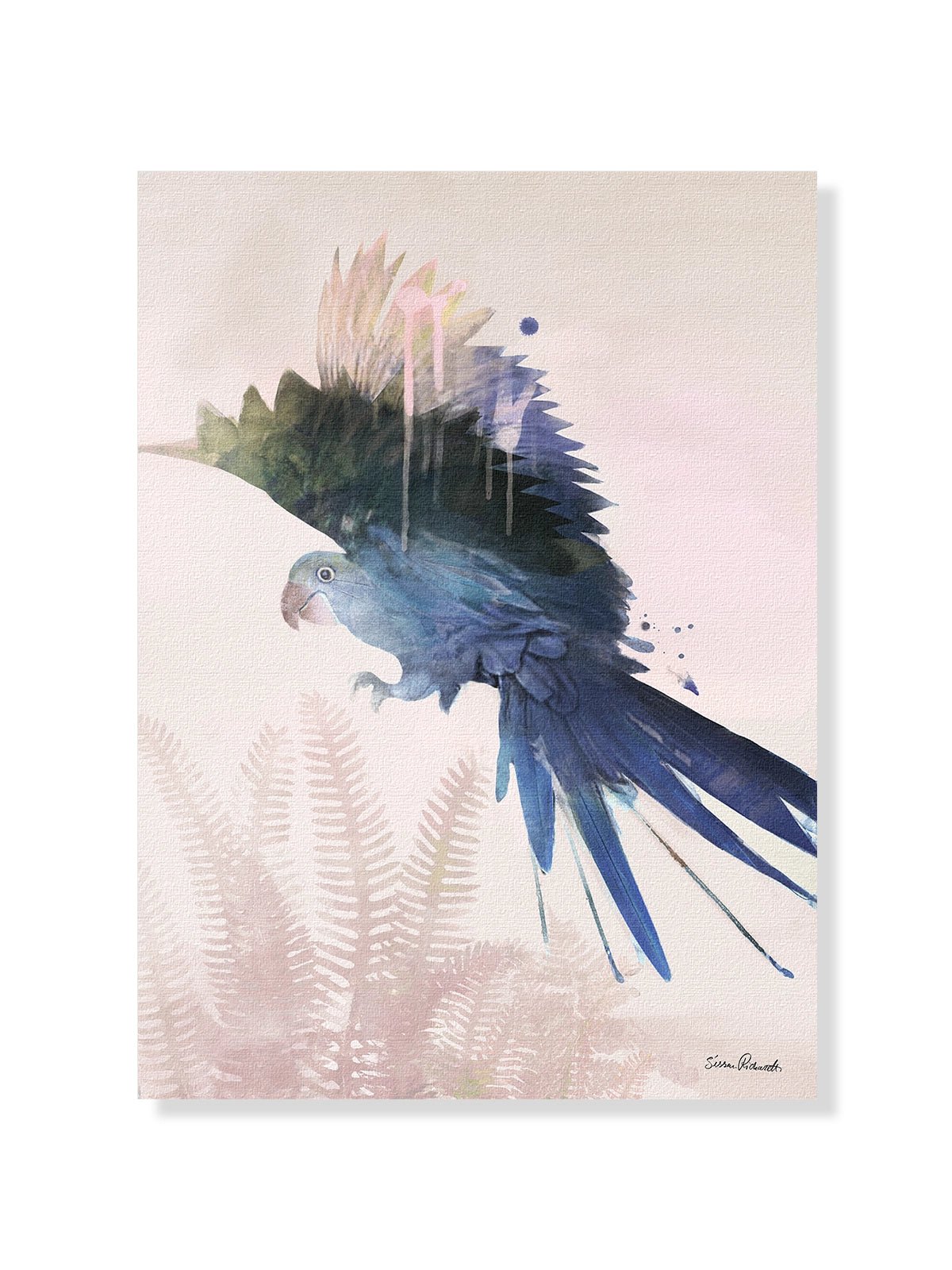 Blue Parrot - Una Lámina de Sissan Richardt - Decora tu casa en Nomadart