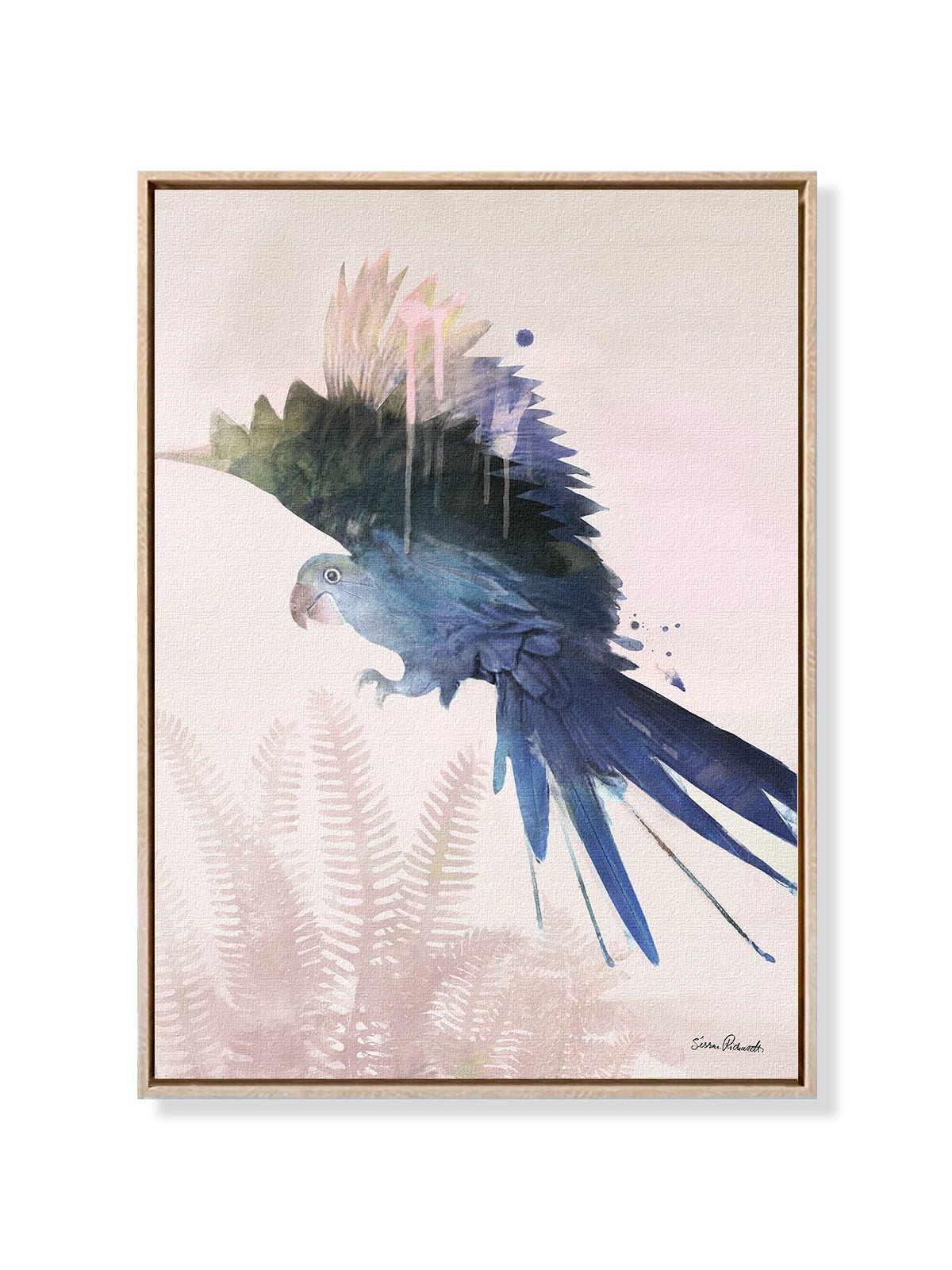 Blue Parrot - Una Lámina de Sissan Richardt - Decora tu casa en Nomadart