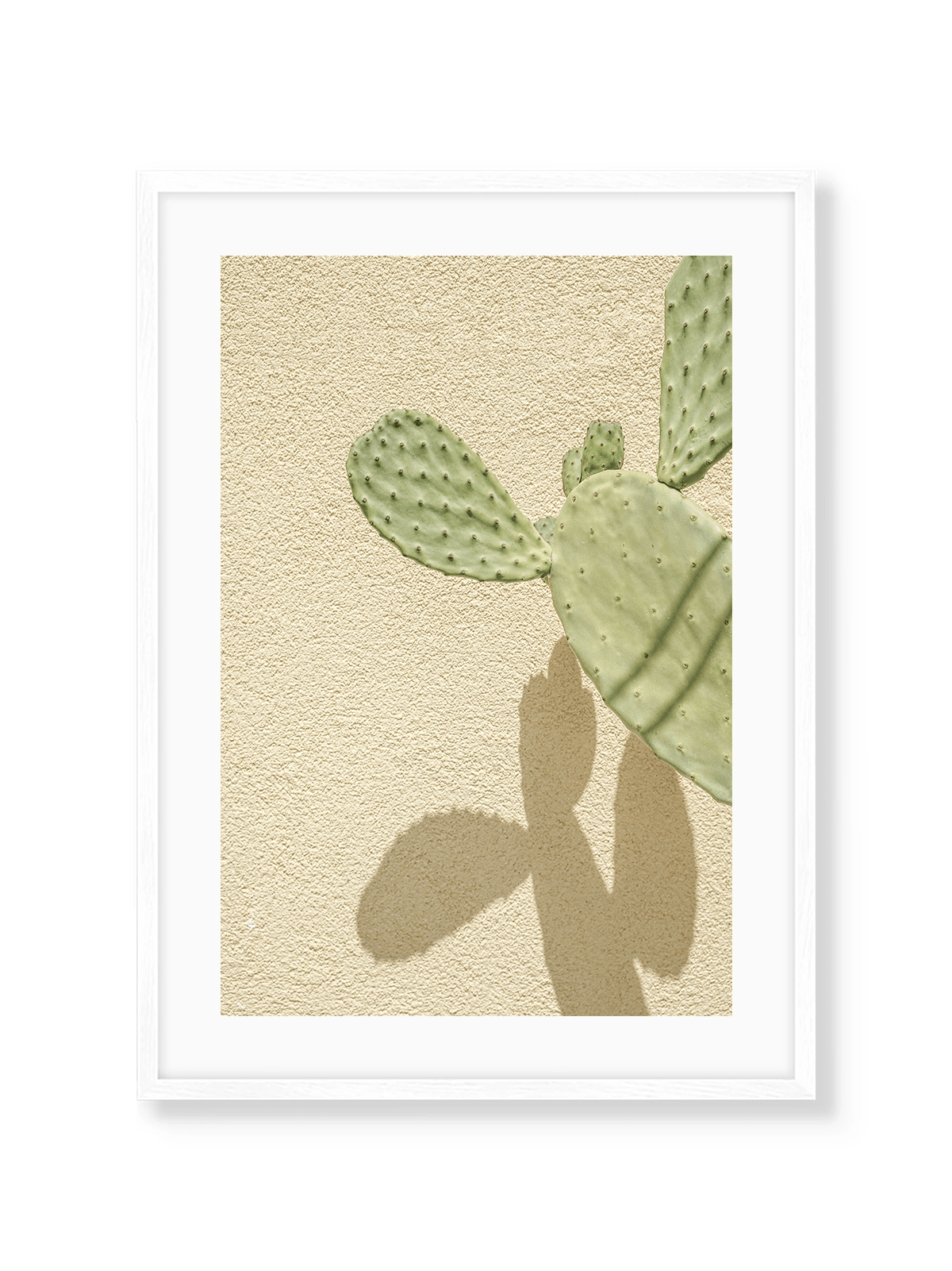 Cacti Shadowplay - Lámina de Henrike Schenk - Decora tu casa en Nomadart