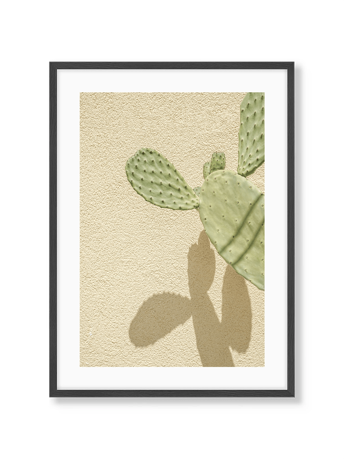 Cacti Shadowplay - Lámina de Henrike Schenk - Decora tu casa en Nomadart