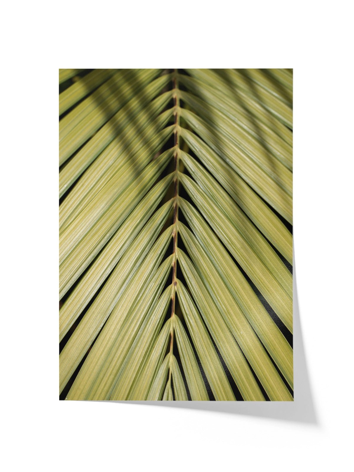 Tropical Green - Lámina de Henrike Schenk - Decora tu casa en Nomadart