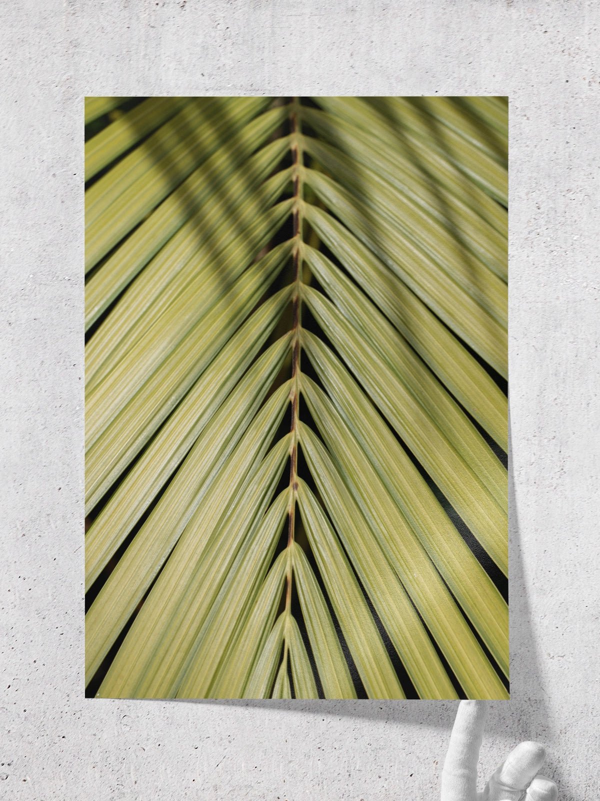 Tropical Green - Lámina de Henrike Schenk - Decora tu casa en Nomadart