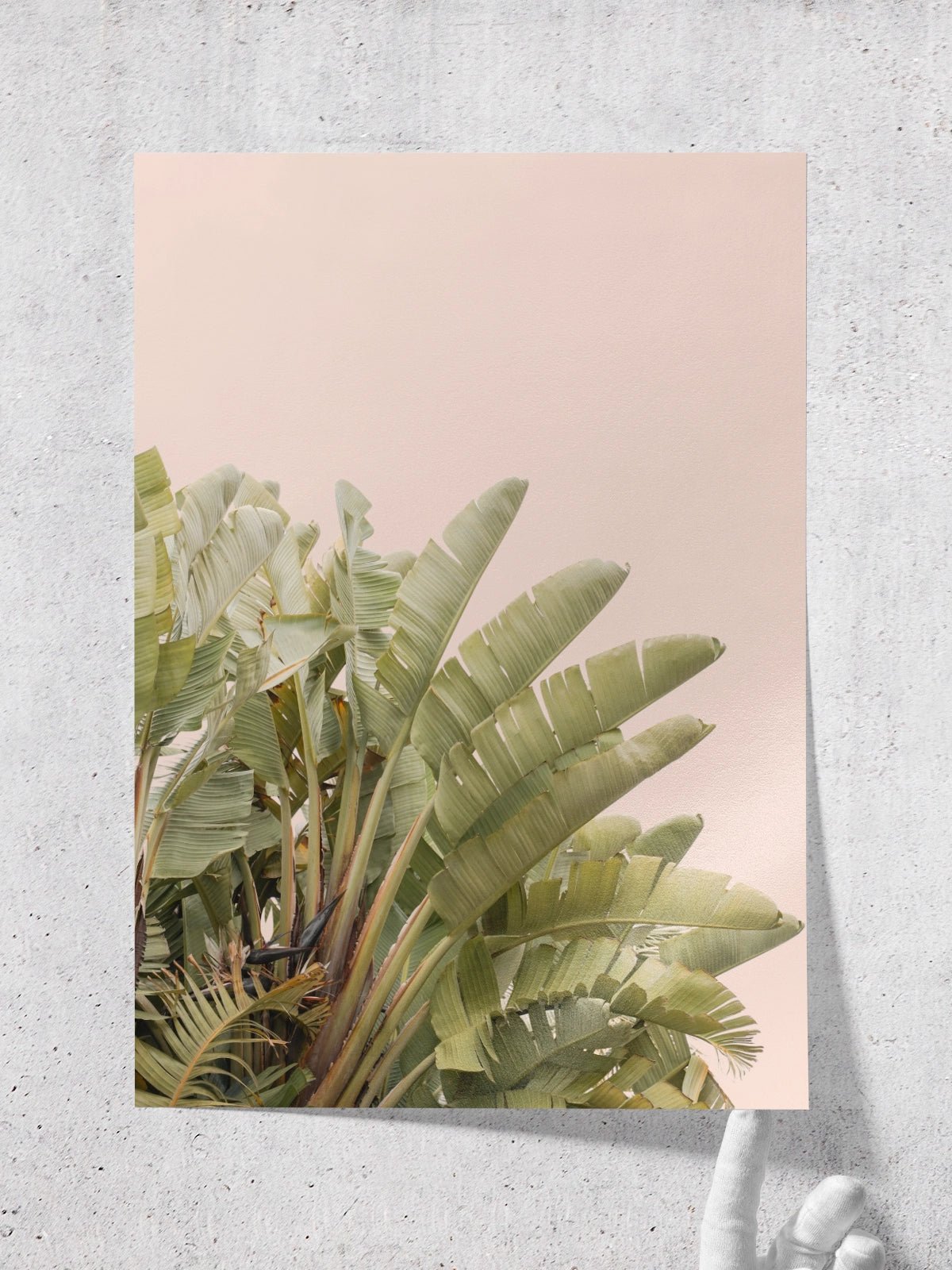 Tropical Leaves - Lámina de Henrike Schenk - Decora tu casa en Nomadart